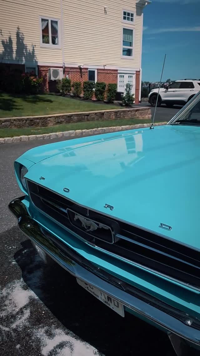 1965 Ford Mustang 🇺🇸

It’s more than a detail—it’s preserving a piece of American history.

This vehicle received a full detail right at the clients location. Thanks to our mobile detail division.

Professional Services We Offer : 
➖Mobile Detailing 
➖Window Tints 
➖Paint Correction 
➖Ceramic Coating
➖Paint Protection Film
➖Vinyl Wrap

Reach us via DM, TEXT or CALL to book an appointment.
📲 732-992-8303

. . . 

[ #detailtopia #tomsriver #njlocal #cars #auto ]